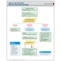 Basic Life Support: Adults and Adolescents Code Card.