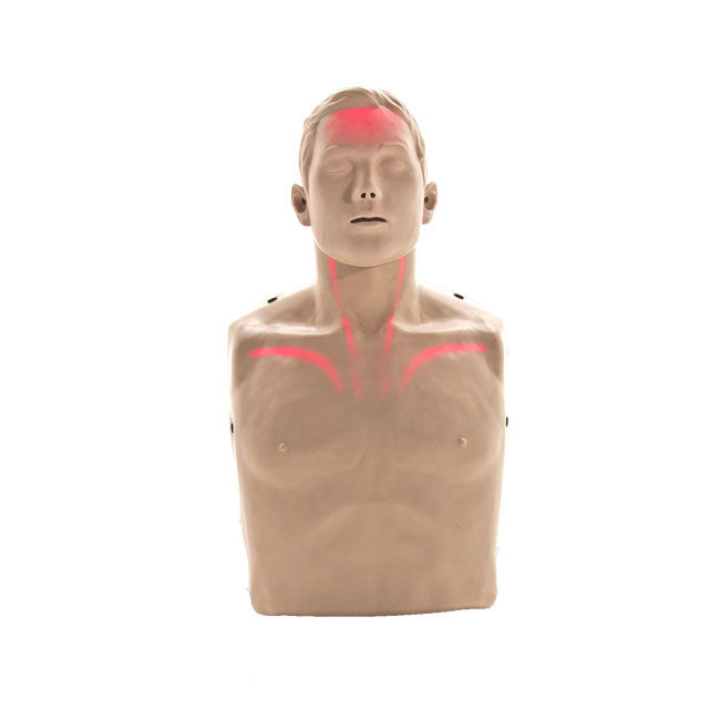 Brayden/BigRed&trade; Adult CPR Manikin with LED Red Light CPR Feedback - shown upright.