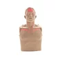Brayden/BigRed&trade; Adult CPR Manikin with LED Red Light CPR Feedback - shown upright.