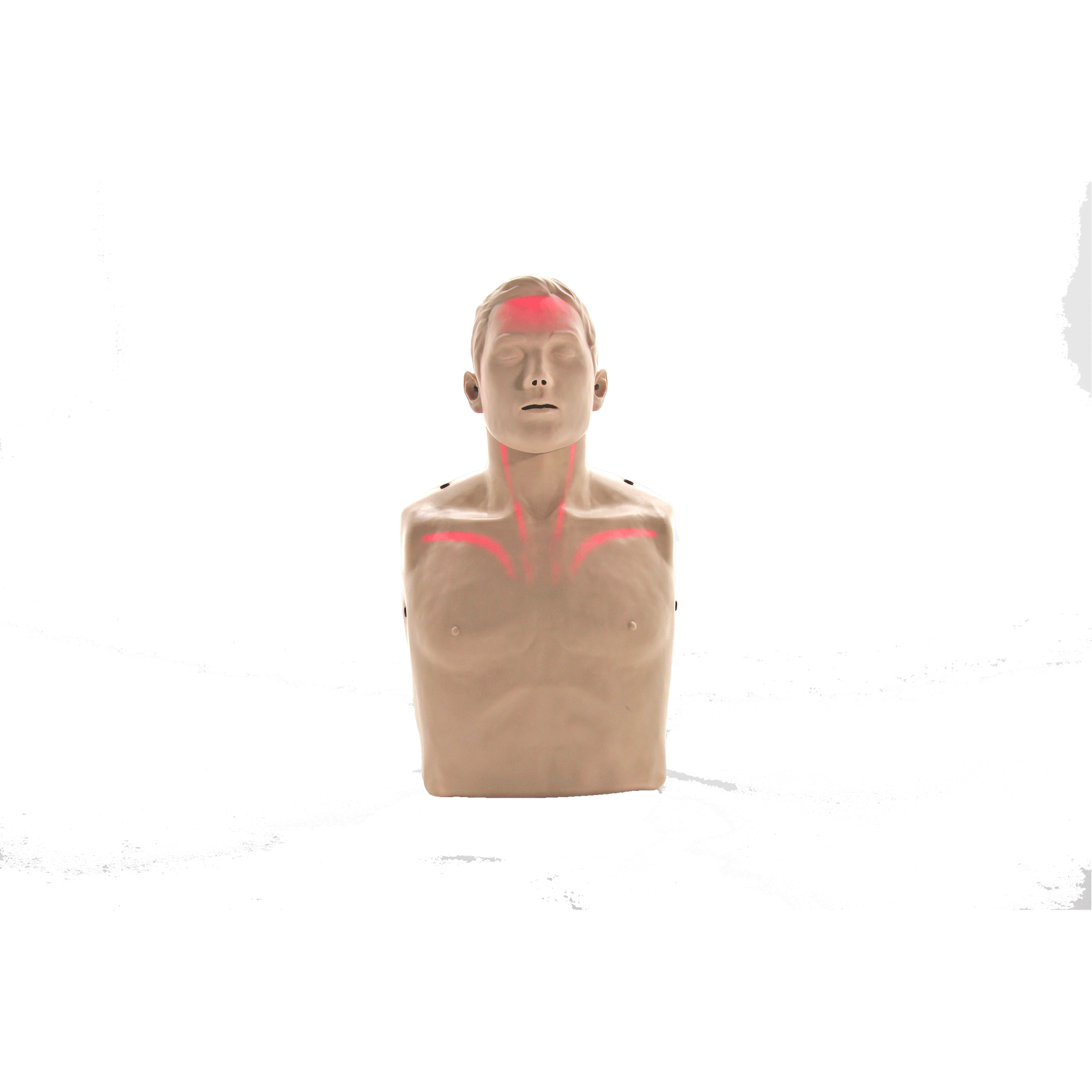Brayden Big Red LED CPR Manikin 4 Pack.